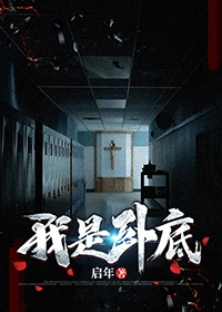 我是卧底
